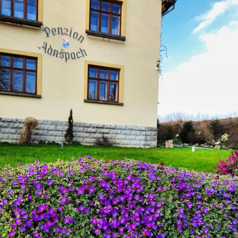 Penzion Adrspach U Bary エクステリア 写真